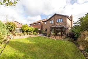 Photo 5- click for photo gallery